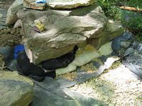 Flap sandbagged photo