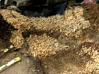  Reconstruction dig out photo