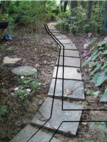  Tent branch from walkway right angle photo